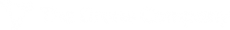 The Drone Company - Widget Logo